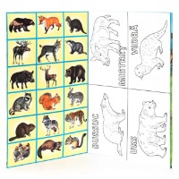 Раскраска для детей Biblion Animale de padure (9789975112956) фото №2 — интернет-магазин Desire.md