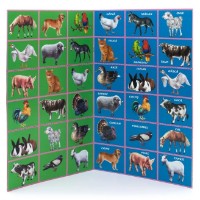 Раскраска для детей Biblion Animale domestice (9789975112499) фото №2 — интернет-магазин Desire.md