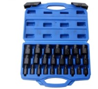 Set de biți pentru demontarea șuruburilor și piulițelor Tianqin 82076