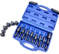 Set de biți pentru demontarea șuruburilor și piulițelor Tianqin 82076 imaginea #3 — magazin online Desire.md