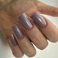 Gel-lac de unghii PNB 04L Morning Fog 8ml imaginea #2 — magazin online Desire.md