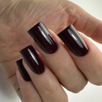 Gel-lac de unghii PNB 09L Velvet Wine 8ml imaginea #2 — magazin online Desire.md