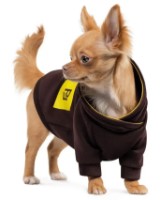 Hanorac pentru câini Pet Fashion Megan, sXS-2 PR243025 imaginea #2 — magazin online Desire.md