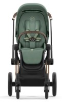 Bloc de mers pe jos Cybex Priam 4.0 Leaf Green (523000773) imaginea #6 — magazin online Desire.md