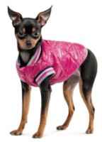Geacă pentru câini Pet Fashion Grace, s.M Pink (PR243017) imaginea #2 — magazin online Desire.md