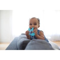 Игрушка-прорезыватель Dr.Browns Elefant (072239312810) фото №2 — интернет-магазин Desire.md