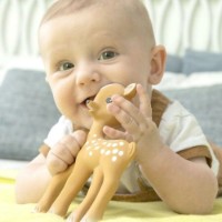 Inel gingival Vulli Fanfan (616341) imaginea #2 — magazin online Desire.md