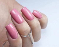 Gel-lac de unghii PNB 340 Flora 8ml imaginea #2 — magazin online Desire.md