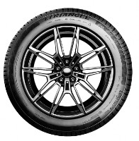 Anvelopa Triangle TW421 245/45 R18 100V imaginea #2 — magazin online Desire.md