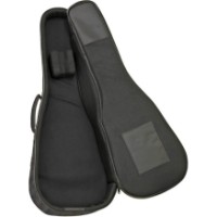 Чехол для гитары Aria ABC-300 CF BK фото №3 — интернет-магазин Desire.md