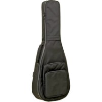 Чехол для гитары Aria ABC-300 CF BK