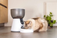 Автоматическая кормушка Beeztees Smart Feeder Cam (410354) фото №3 — интернет-магазин Desire.md