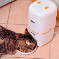 Автоматическая кормушка Ferplast Risto Pet фото №2 — интернет-магазин Desire.md