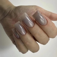 Gel de construcție PNB Builder Gel 029 Elegant Mist 15ml imaginea #2 — magazin online Desire.md