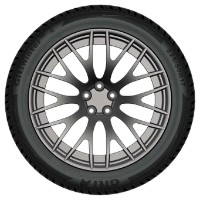 Anvelopa GiTi Winter W2 235/50 R19 103V XL imaginea #2 — magazin online Desire.md