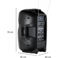 Колонка Pronomic Move 15MA-A фото №5 — интернет-магазин Desire.md