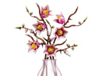 Set de construcție Lego Botanicals: Magnolia Branches (11510) imaginea #3 — magazin online Desire.md