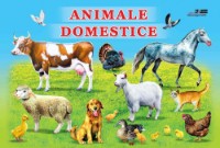 Книга Animale domestice (9789975148115)
