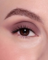 Тени для век Astra Chromo Therapy 02 Velvet Entropy  фото №2 — интернет-магазин Desire.md