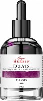 Чернило для рисования Jacques Herbin Eclats Blackcurrant 50ml 16330T