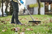 Greblă Cellfast 40213 imaginea #3 — magazin online Desire.md