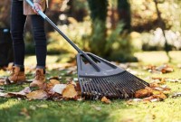 Greblă Cellfast 40314 imaginea #3 — magazin online Desire.md