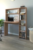 Письменный стол Bofigo 20-07-02 Pine фото №4 — интернет-магазин Desire.md