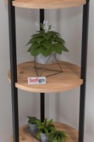 Suport pentru flori Bofigo 13-16-02 Pine imaginea #5 — magazin online Desire.md