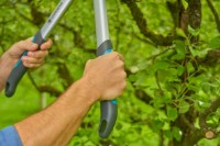 Ножницы садовые (секатор) Gardena EasyCut S 500 B 668407 (12030-20) фото №2 — интернет-магазин Desire.md