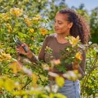 Foarfecă de gradină Gardena PremiumCut M 529582 (12242-20) imaginea #4 — magazin online Desire.md