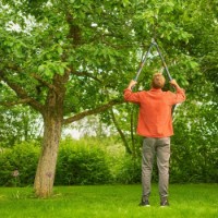 Foarfecă de gradină Gardena TelCut 650-900 B (12041-20) imaginea #2 — magazin online Desire.md