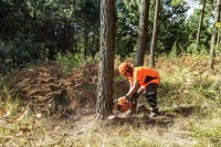 Ferăstrău cu lanţ pe benzină Husqvarna 353 15  325 (970650415) imaginea #2 — magazin online Desire.md