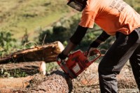 Ferăstrău cu lanţ pe benzină Husqvarna 353 15  325 (970650415) imaginea #3 — magazin online Desire.md