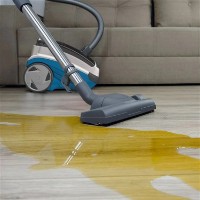 Aspirator cu spălare Thomas Aquatic Stealth imaginea #6 — magazin online Desire.md