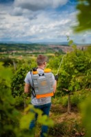 Pulverizator Villager Hortus 12L 082464 imaginea #2 — magazin online Desire.md