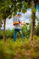 Pulverizator Villager Hortus 16L 082465 imaginea #3 — magazin online Desire.md