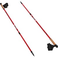 Треккинговые палки Nils NW802  фото №2 — интернет-магазин Desire.md