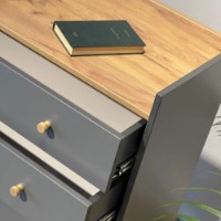 Комод MobiCasa 4 Asgard 82x96x40cm Kraft gold/Grafit CMD02.10/13.8296.ART фото №3 — интернет-магазин Desire.md