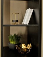 Etajeră Fabrik Home Belfort 550x420x1970mm чёрный ясень imaginea #2 — magazin online Desire.md