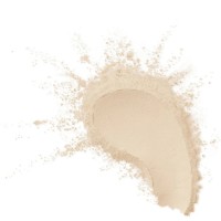 Pudra pentru față Max Factor Facefinity Pro Blur Translucent imaginea #2 — magazin online Desire.md