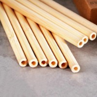Set paie pentru cocktail Store Art Eco 20pcs 20cm Bamboo (44734) imaginea #3 — magazin online Desire.md
