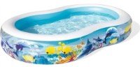 Бассейн Bestway 54118BW