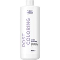 Șampon pentru păr Ronney Post Coloring 1L