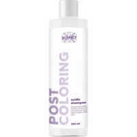Șampon pentru păr Ronney Post Coloring 300ml