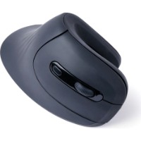 Mouse Gembird MUSW-ERGO-03 Black