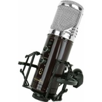 Microfon Kurzweil KM-1U Silver imaginea #2 — magazin online Desire.md