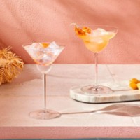 Набор бокалов Pasabahce VINTAGE 200ml 2pcs 67012/S2 фото №2 — интернет-магазин Desire.md