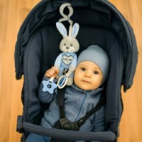 Jucărie pentru pătuturi si carucioare Baby Mix Rabbit Blue (STK-19393 BR) imaginea #2 — magazin online Desire.md
