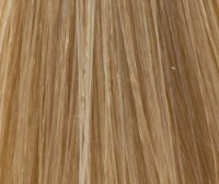 Vopsea pentru păr Trinity VDT 9.00 60ml Warm Pale Blonde