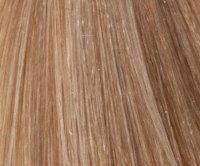 Vopsea pentru păr Trinity VDT 9.3 60ml Pale Golden Blonde